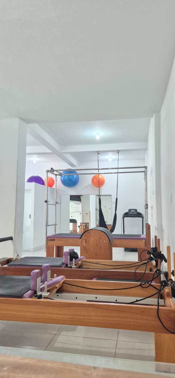 WhatsApp Image 2026-02-04 at 17.30.31