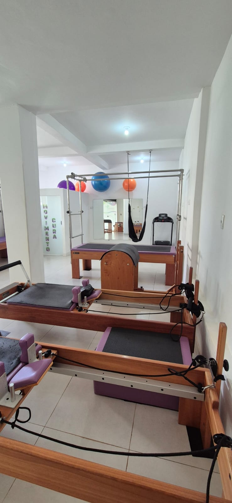 WhatsApp Image 2026-02-04 at 17.30.32 (3)